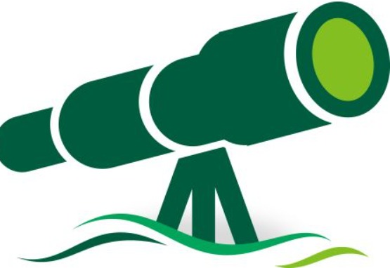 Our Vision